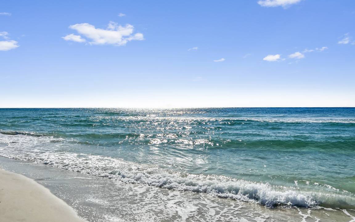 Photo of Others in Inlet Beach