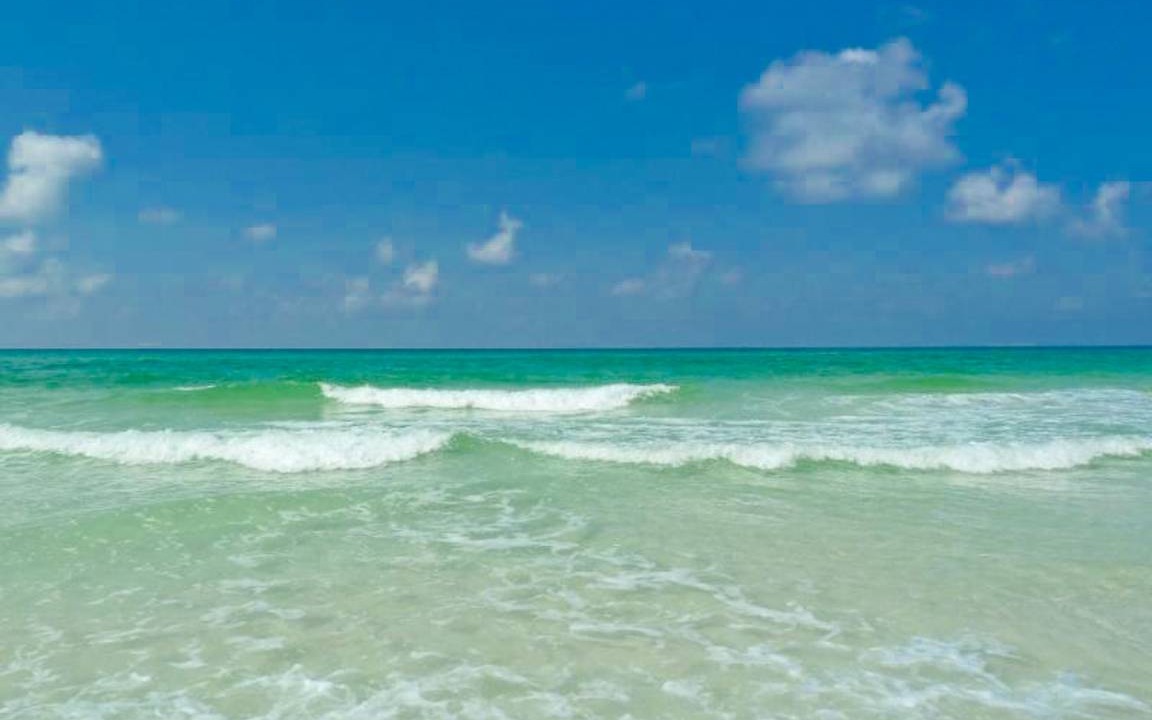 Photo of Others in Inlet Beach