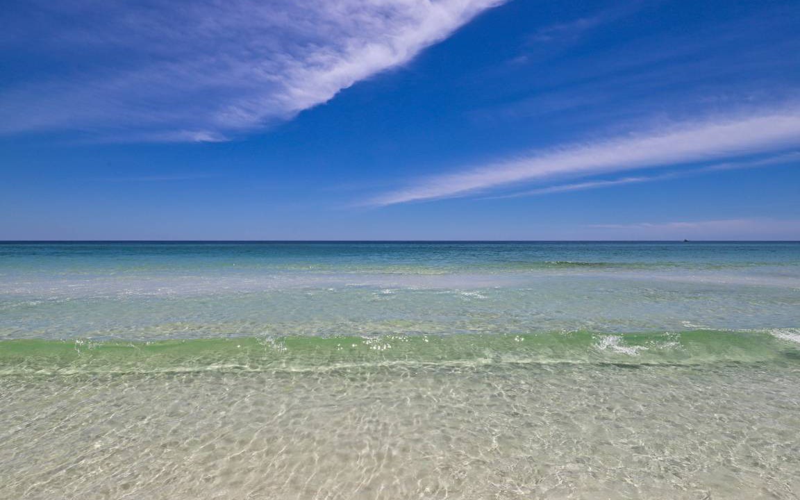 Photo of Others in Dune Allen Beach