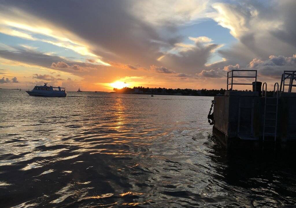 Photo of Others in North Naples