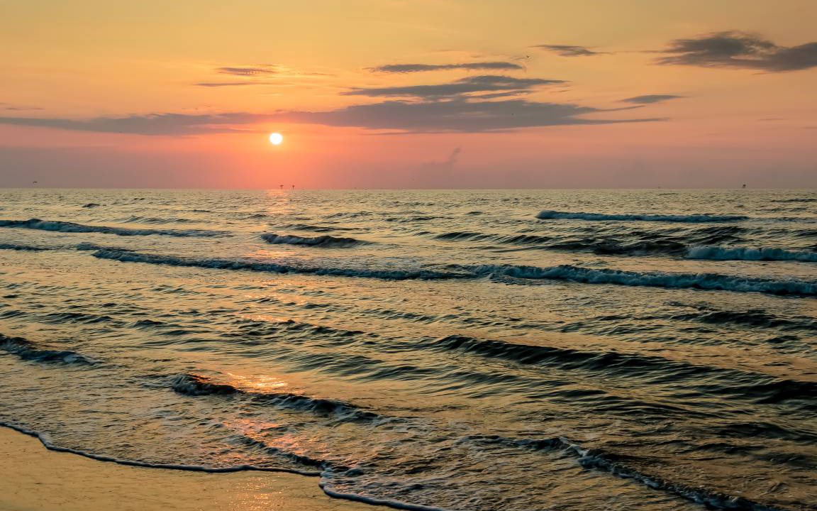 Photo of Others in El Centro Beach
