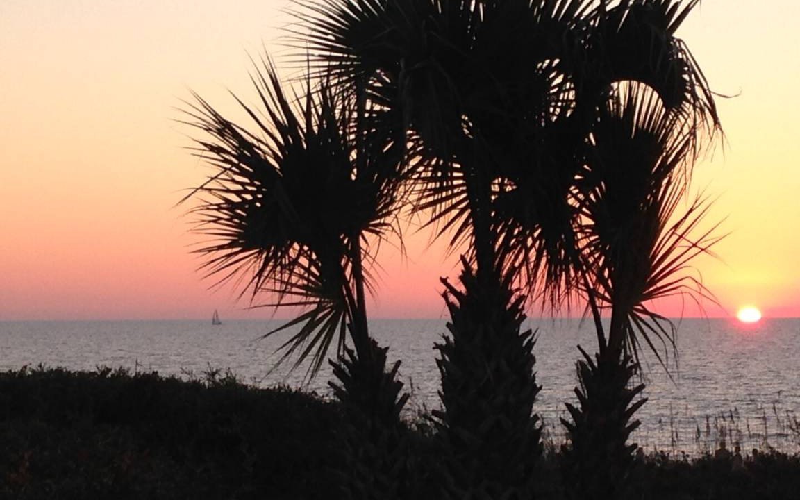 Photo of Others in Port St. Joe