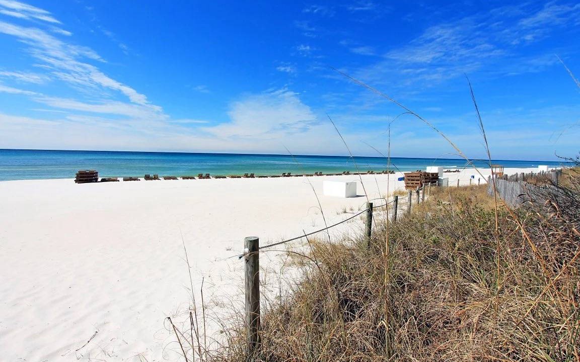 Photo of Others in West Panama City Beach