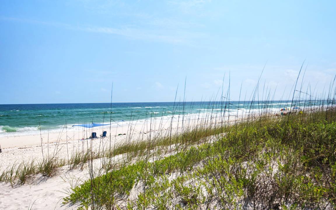 Photo of Others in Navarre Beach