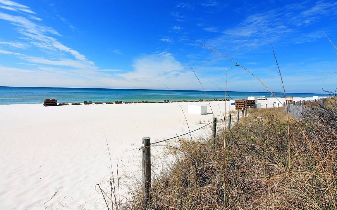 Photo of Others in Panama City Beach
