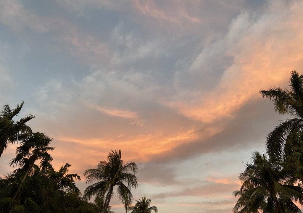 Photo of Others in Key West