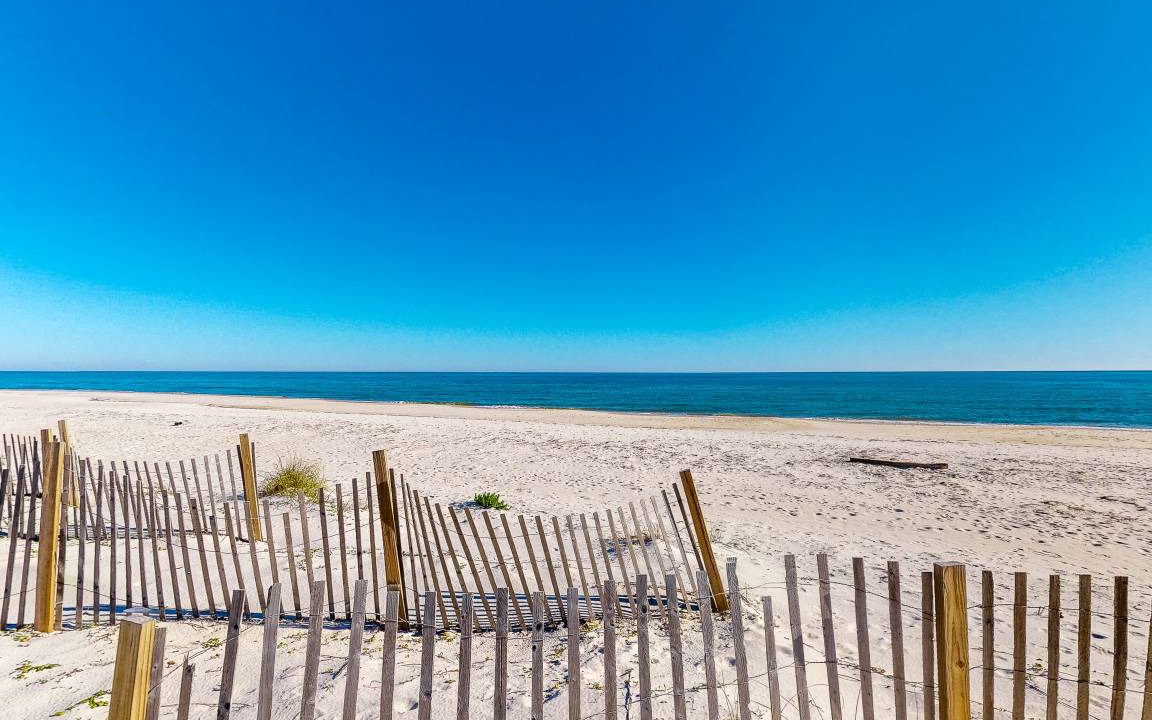 Photo of Others in St. George Island