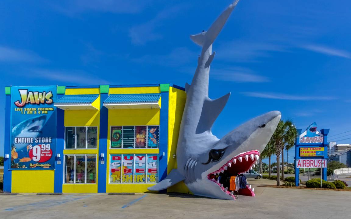 Photo of Others in Gulf Lagoon Beach