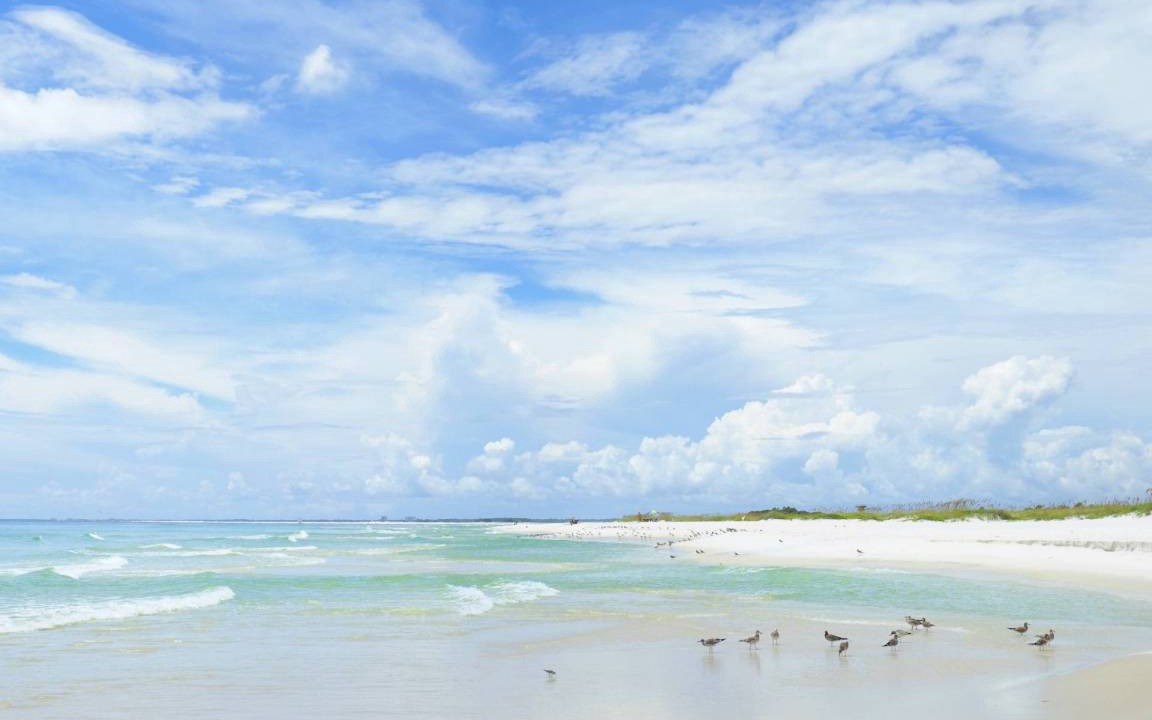 Photo of Others in Gulf Breeze