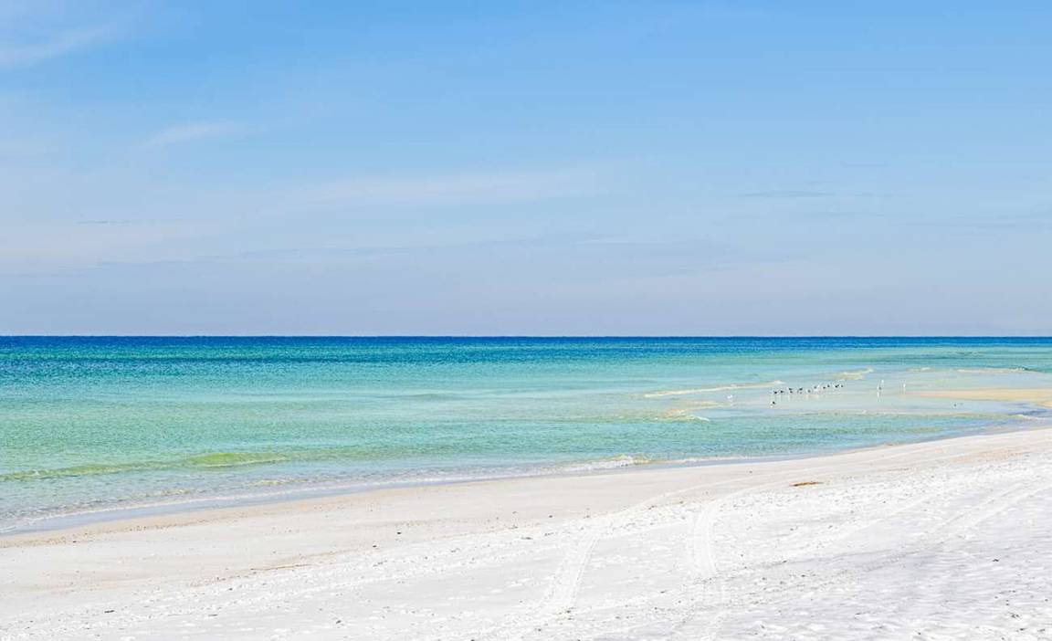 Photo of Others in El Centro Beach