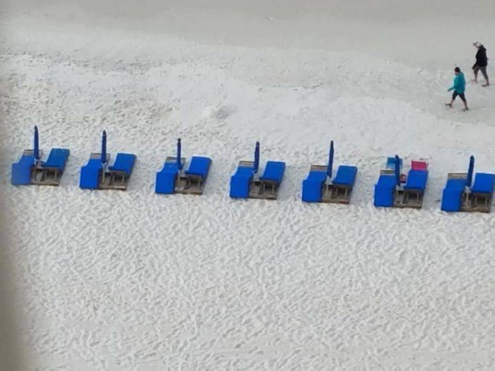 Photo of Others in Panama City Beach