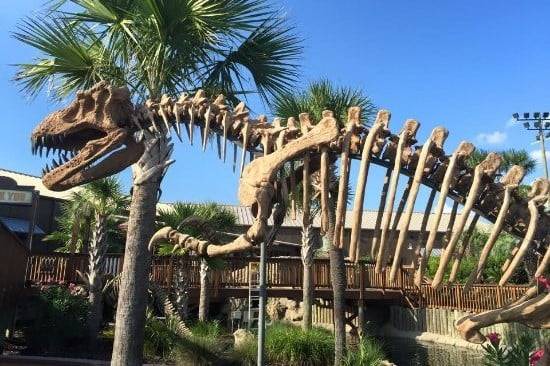 Photo of Others in Fort Walton Beach