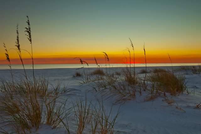 Photo of Others in Navarre Beach