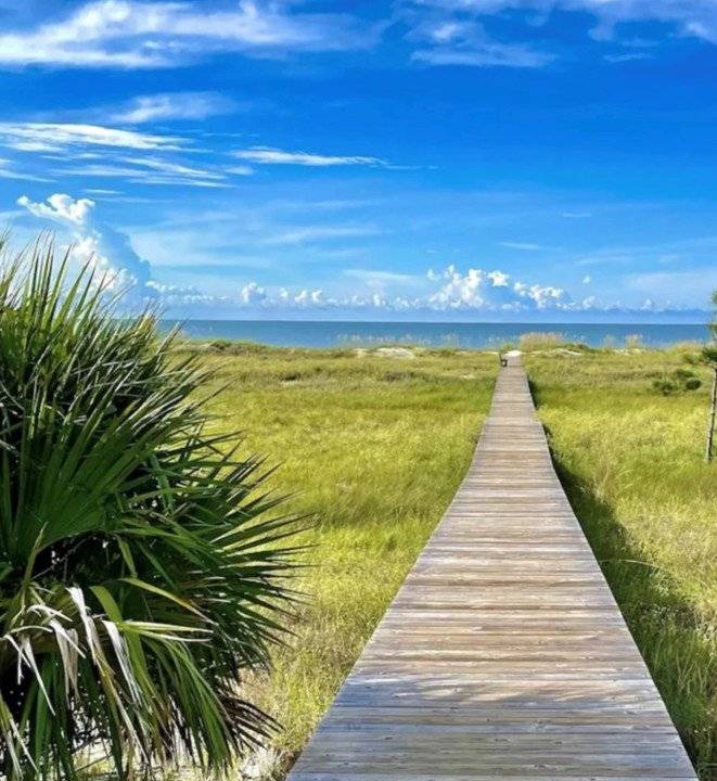 Photo of Others in Cape San Blas