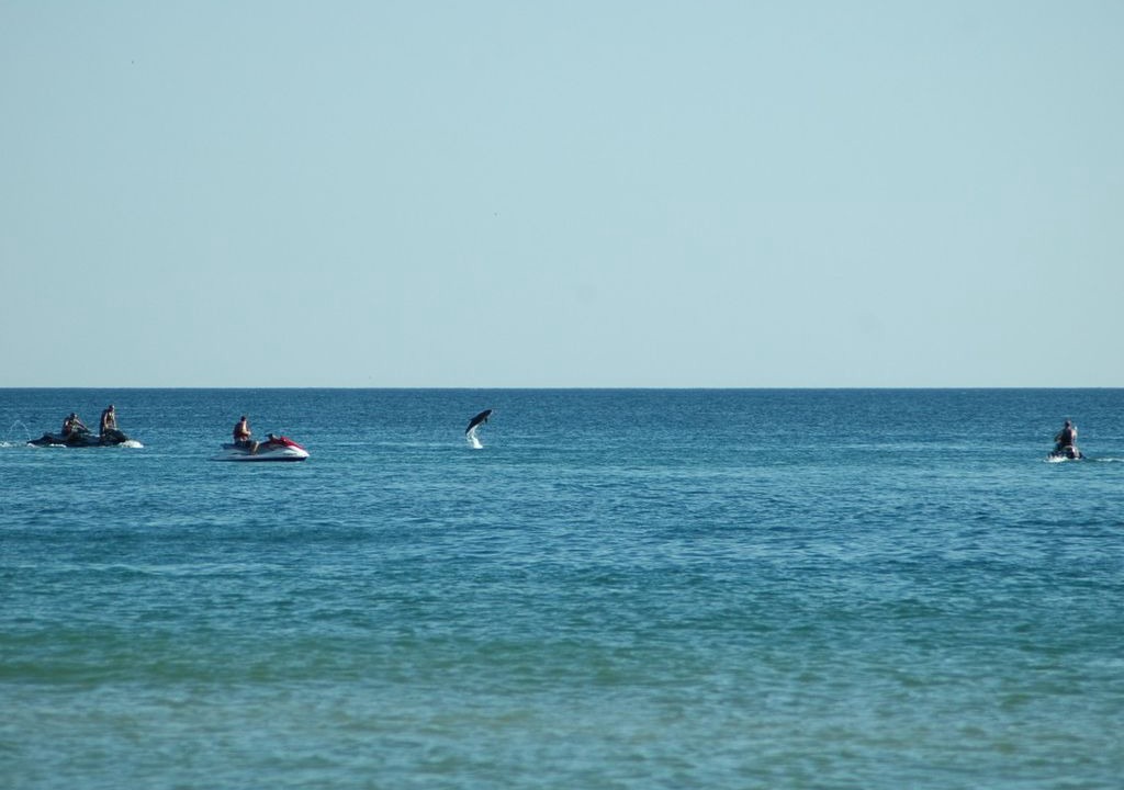 Photo of Others in Bahama Beach