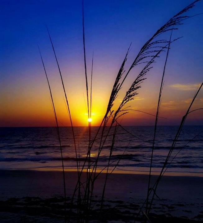 Photo of Outdoor in Bahama Beach