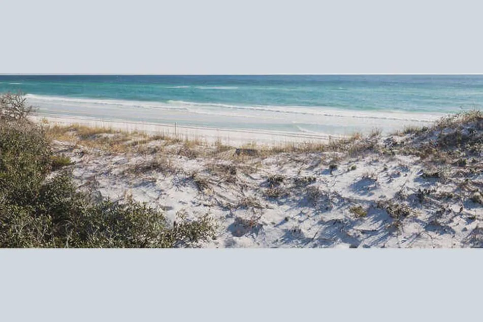 Photo of Outdoor in Panama City Beach