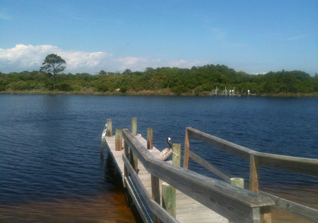 Photo of Outdoor in Sunnyside