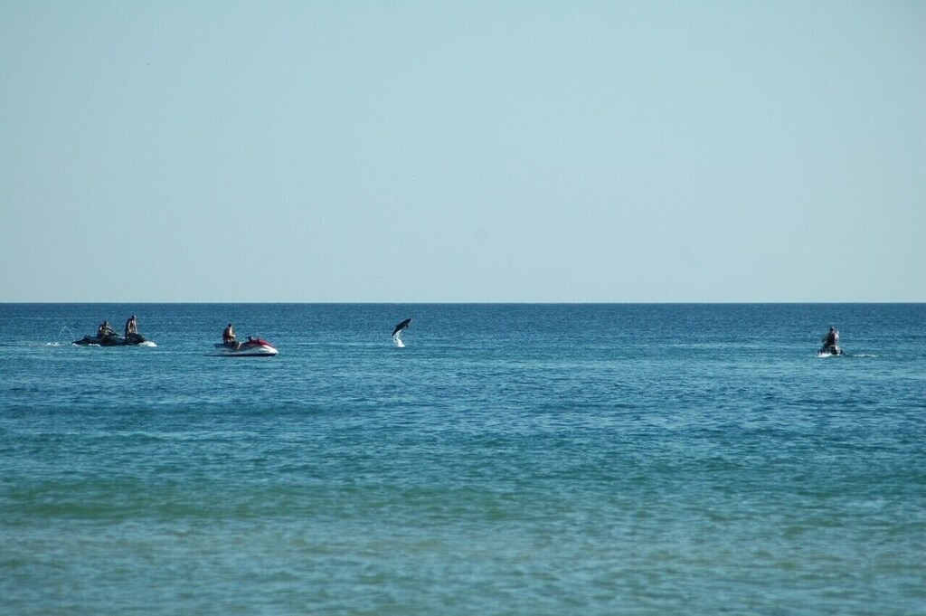 Photo of Others in Bahama Beach