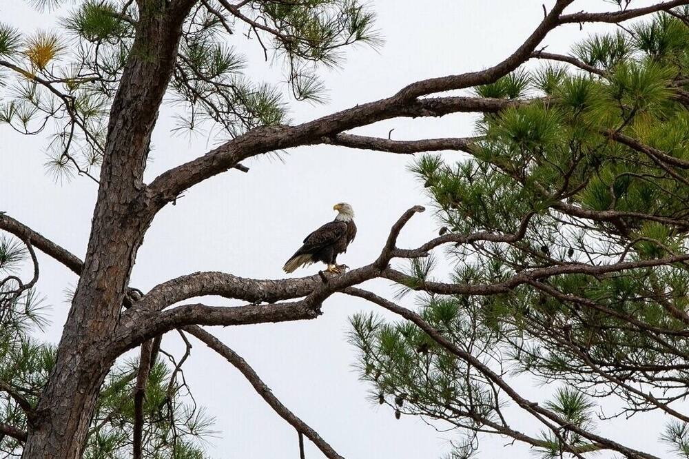 Photo of Outdoor in Long Branch