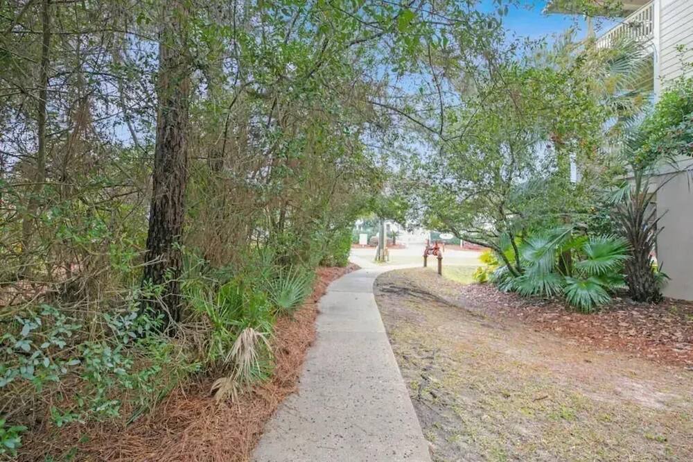 Photo of Others in Seagrove Beach