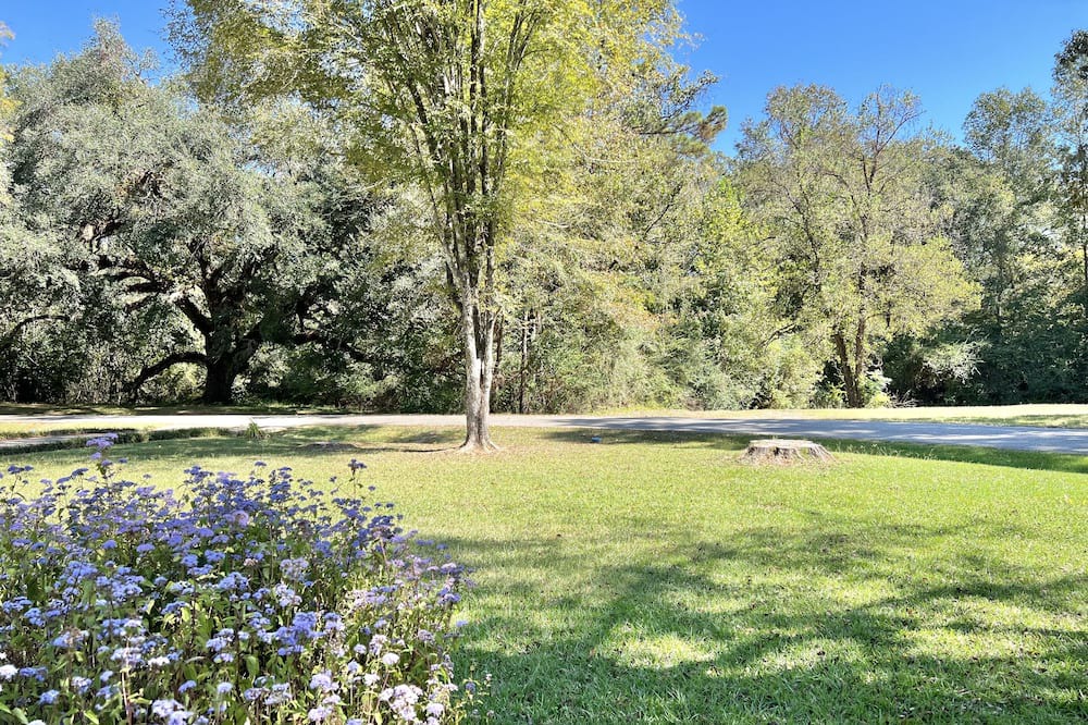Photo of Outdoor in St. Francisville