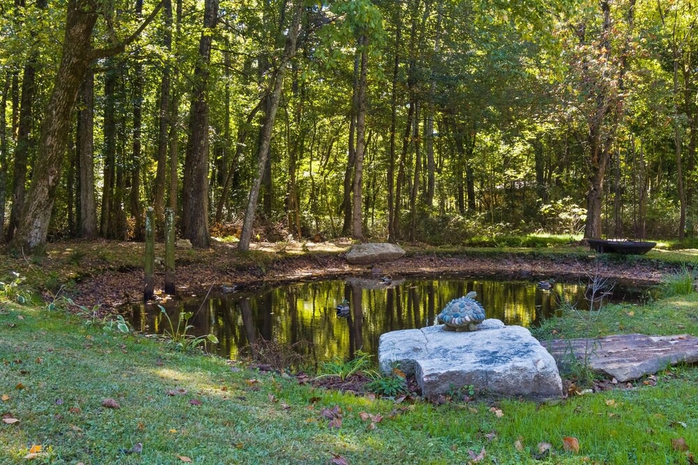 Photo of Outdoor in Mentone