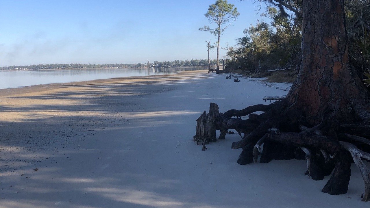 Photo of Others in Panama City