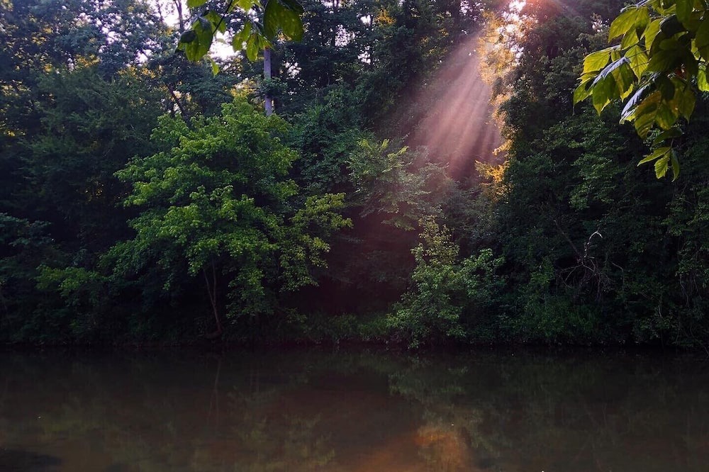 Photo of Outdoor in Killen