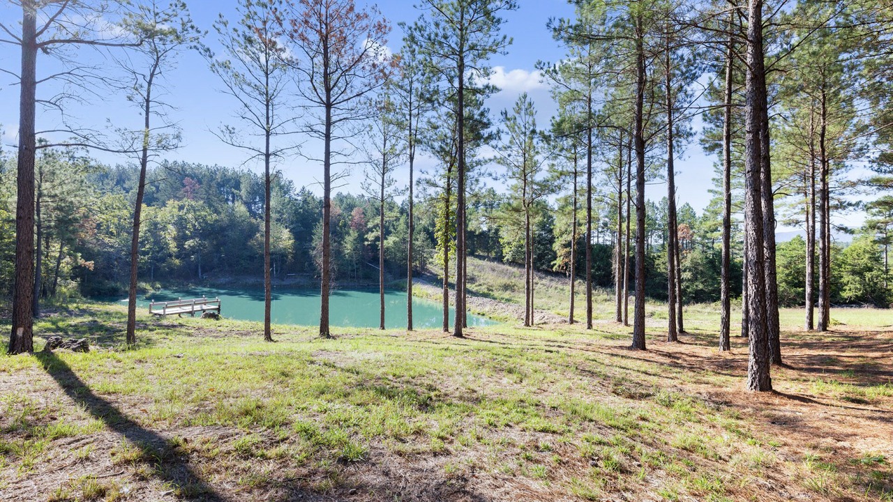 Photo of Outdoor in Smithville