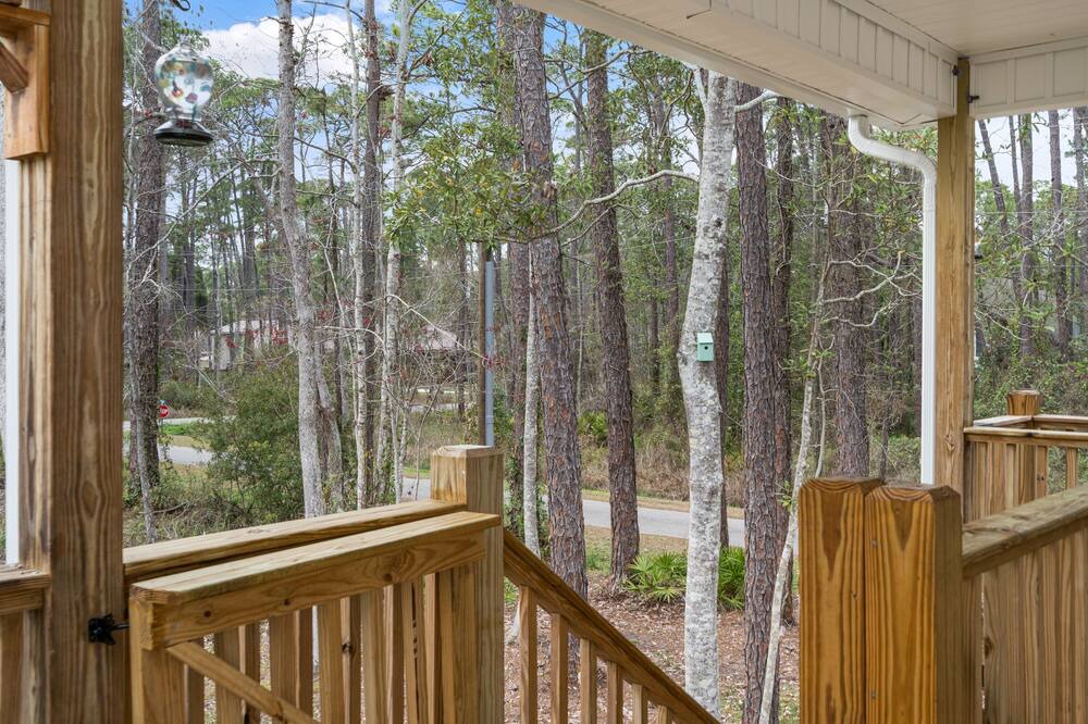 Photo of Outdoor in Dauphin Island