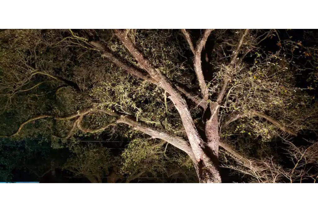 Photo of Others in Zachary