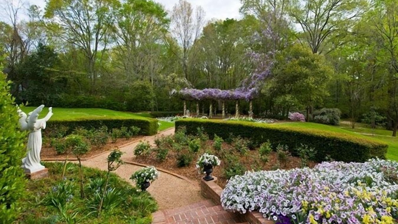 Photo of Outdoor in Natchez
