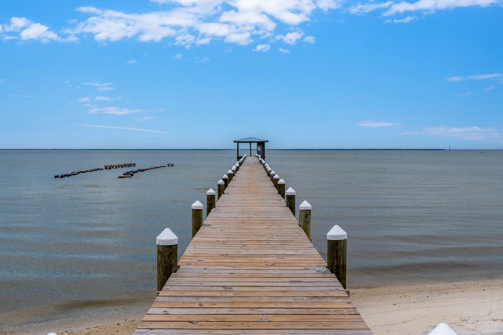 Photo of Outdoor in Dauphin Island