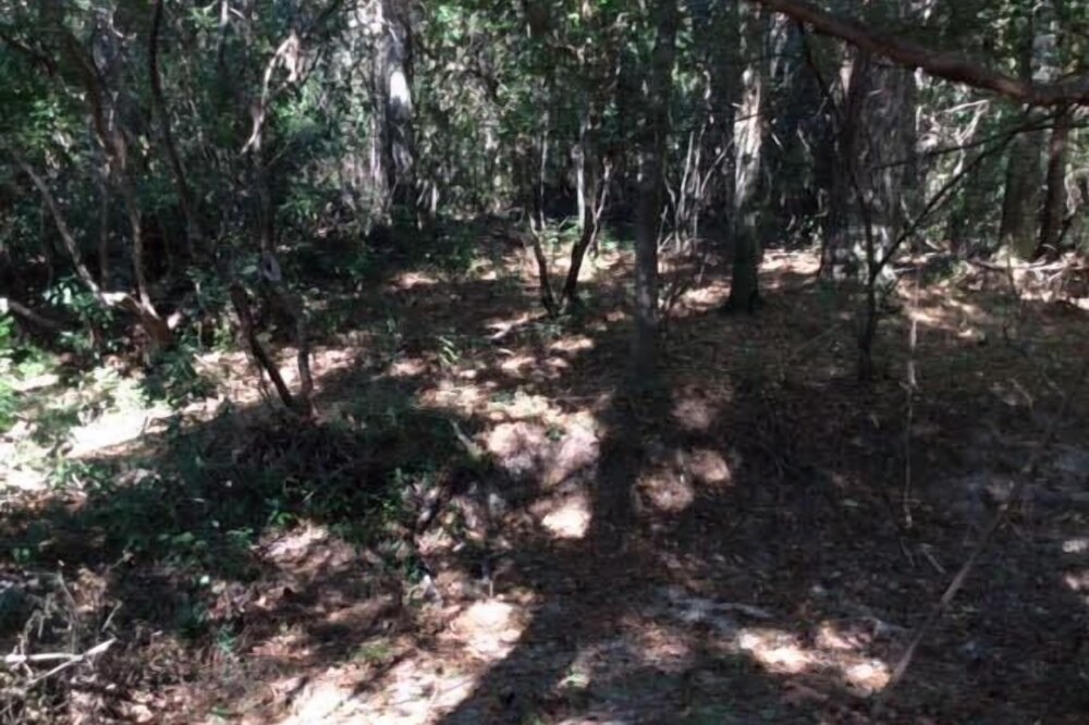 Photo of Others in Bogalusa