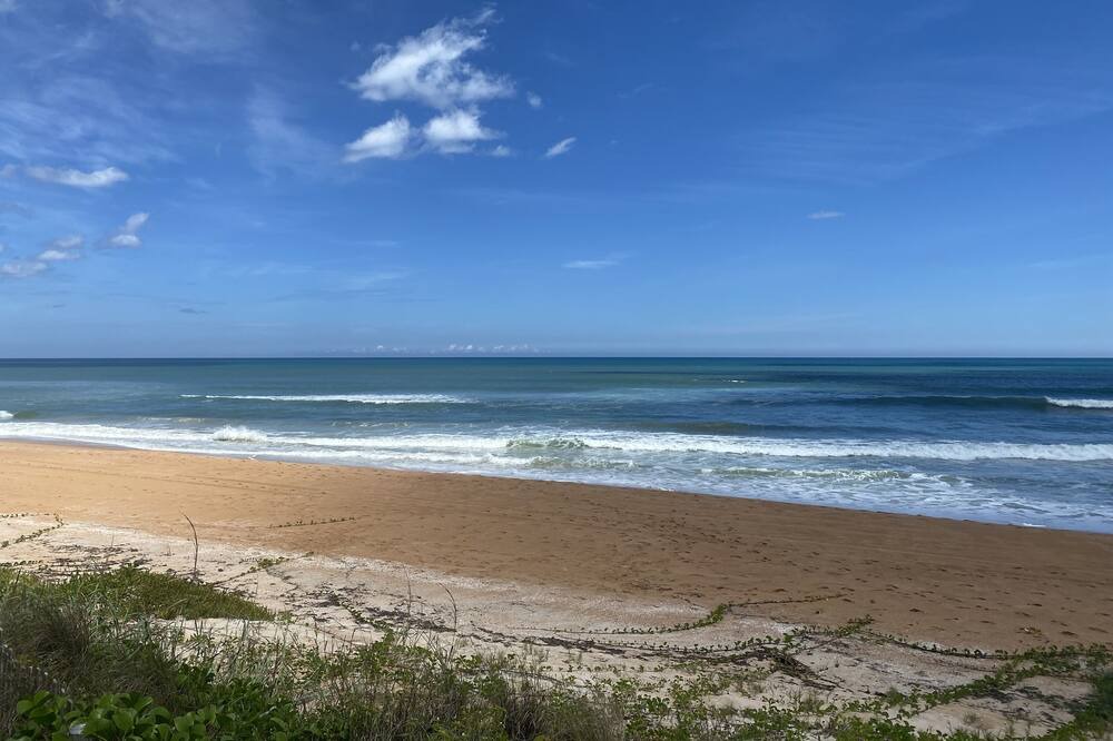 Photo of Others in Ormond Beach