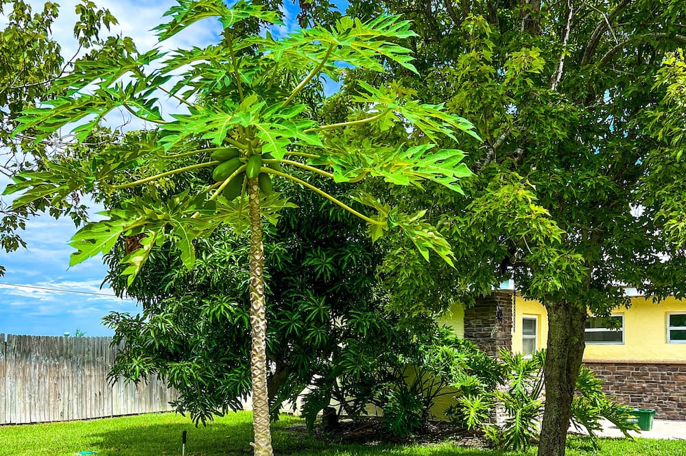 Photo of Outdoor in Wobser Acres
