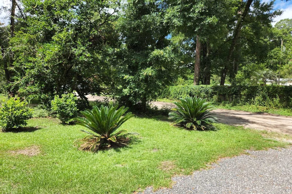 Photo of Outdoor in Crawfordville