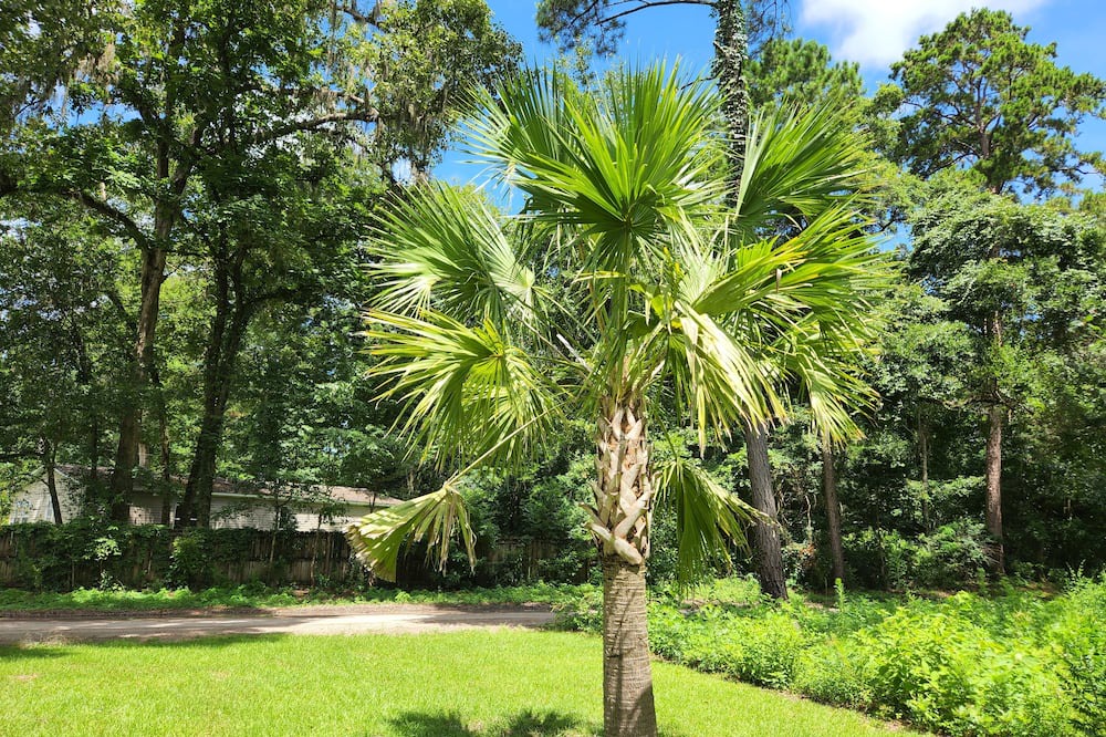 Photo of Outdoor in Crawfordville