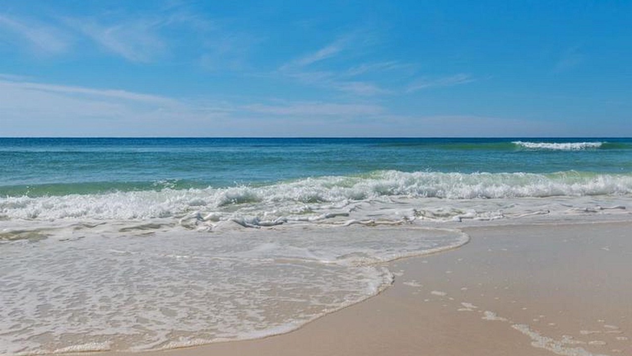 Photo of Others in White's Gulfview