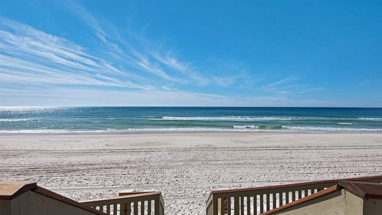 Photo of Others in White's Gulfview