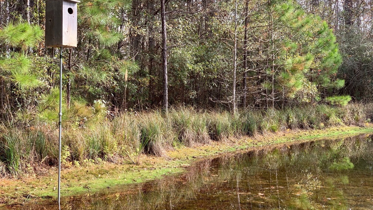 Photo of Outdoor in Call