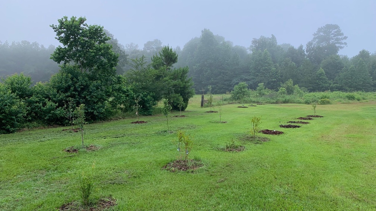 Photo of Outdoor in Call