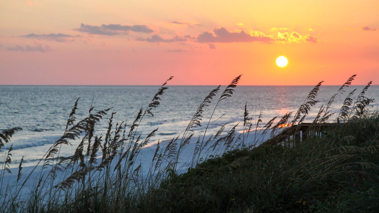 Photo of Others in Seagrove Beach