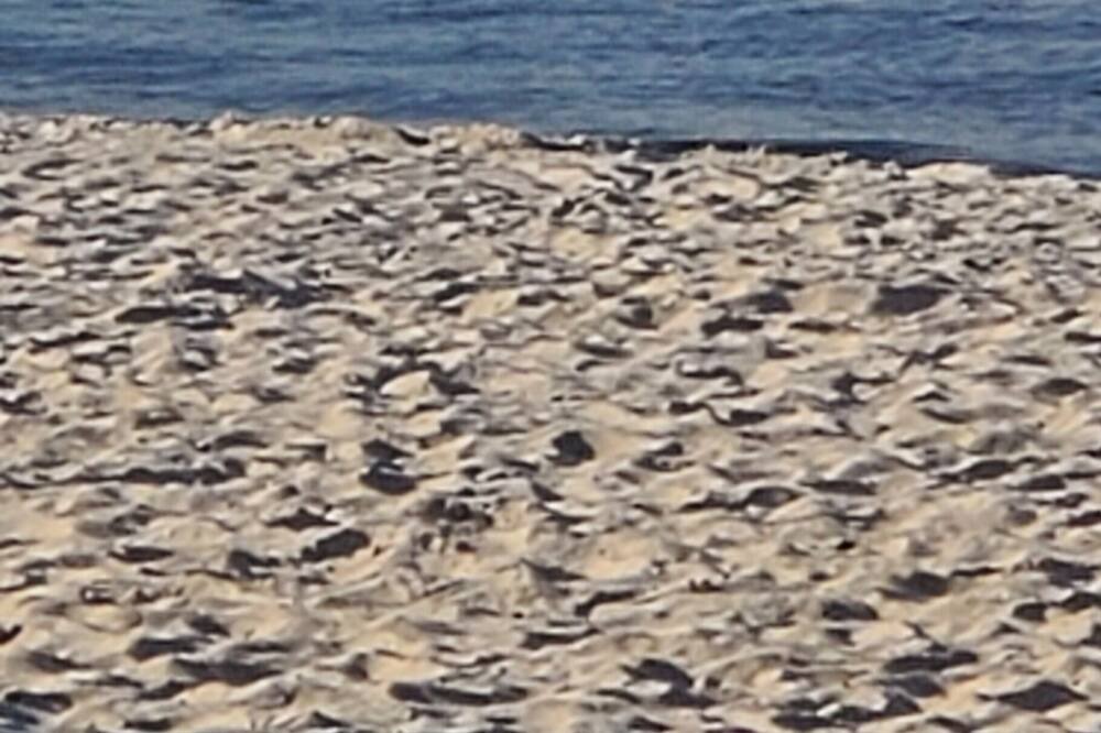 Photo of Others in Biloxi