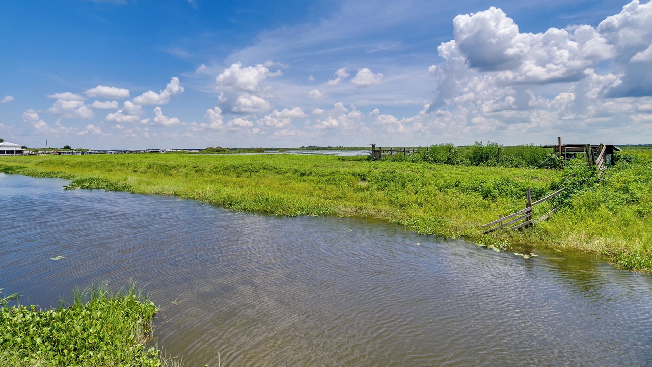 Photo of Others in River Ranch