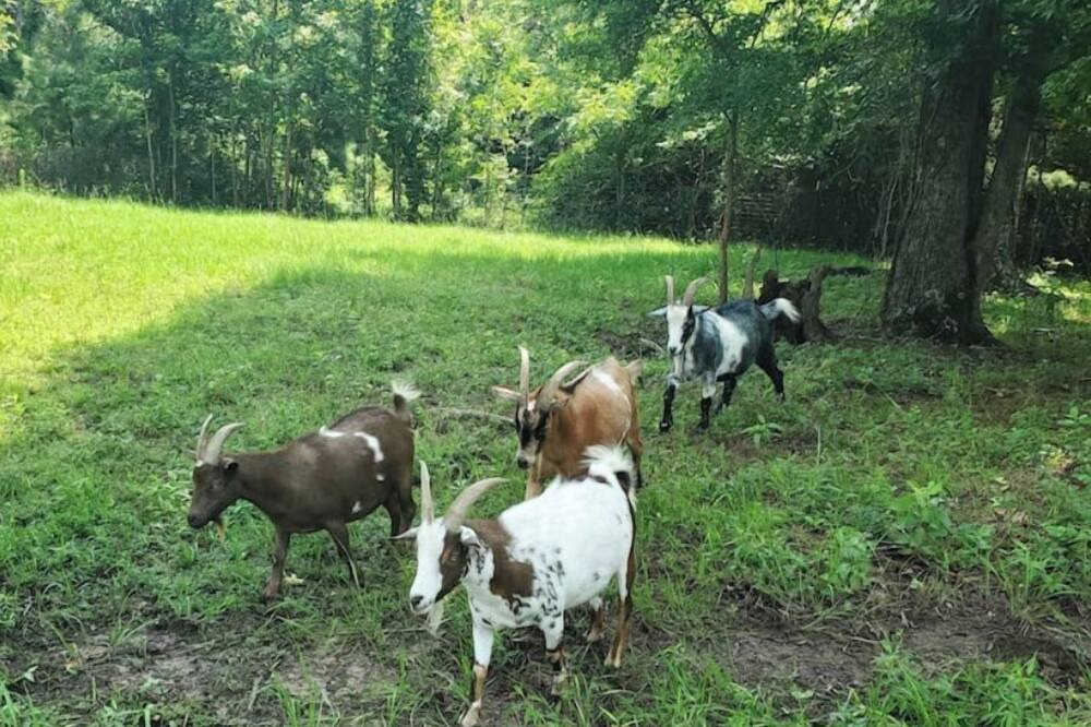Photo of Others in Kilgore