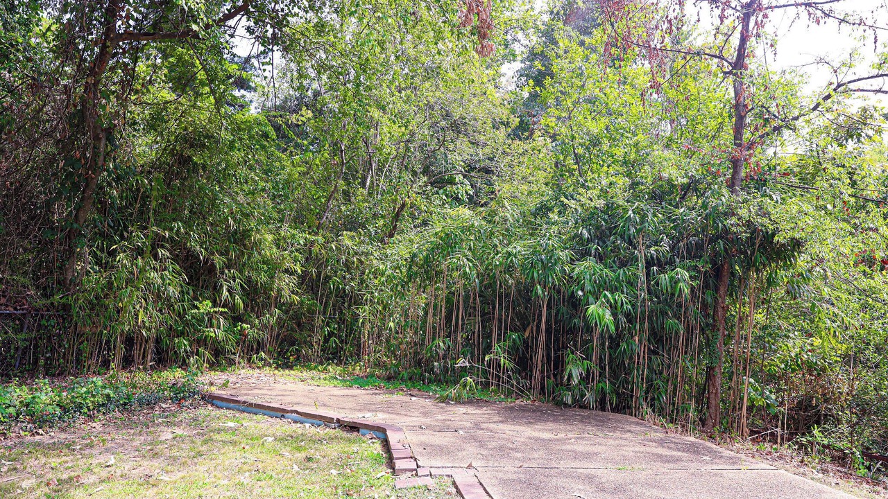 Photo of Outdoor in Greater Belhaven