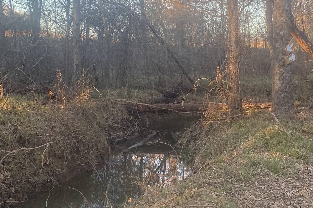 Photo of Others in Cumby