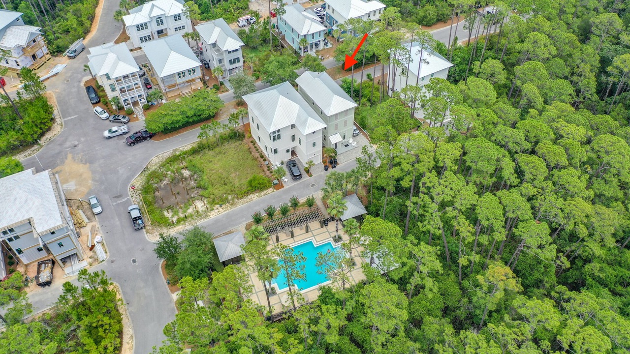 Photo of Outdoor in Treetop